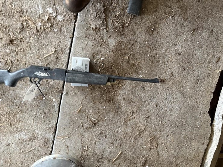 daisy-eagle-bb-gun-image-3