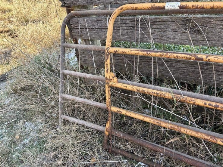 10'-&-12'-gates-image-3