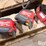 milwaukee-power-tools-w/batteries-&-6-battery-charger-image-14