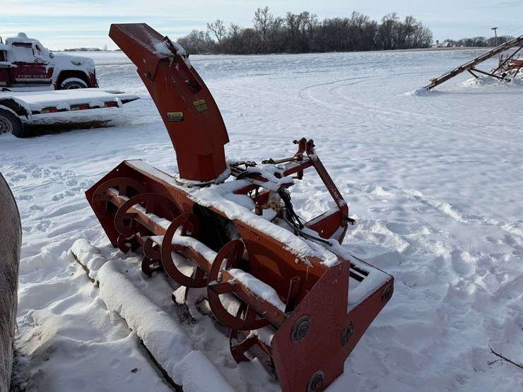 international-80-image-4