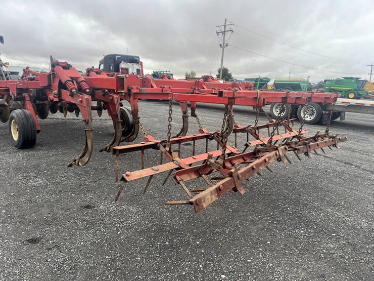 sunflower-4311-10-image-7