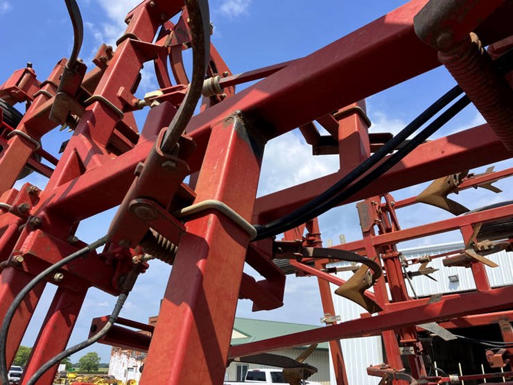 sunflower-5452-image-25