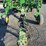 john-deere-2410-image-4