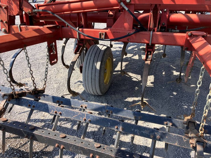 sunflower-5452-image-11