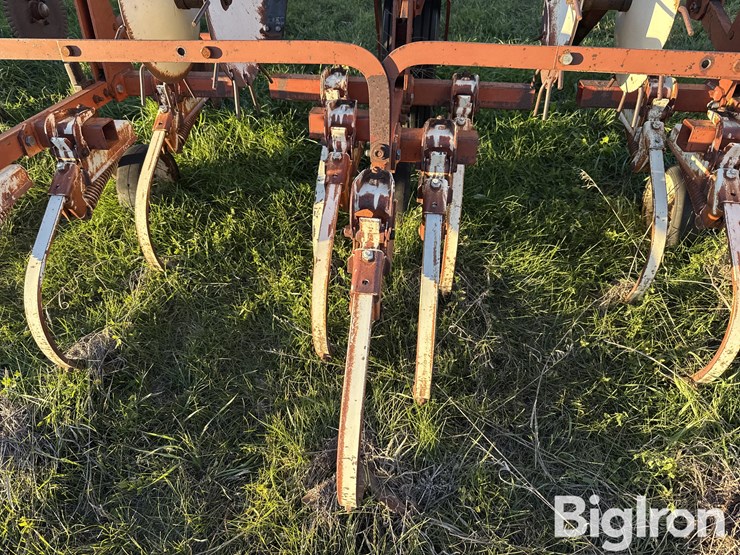 international-153-image-15