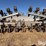 hiniker-12r-row-crop-cultivator-image-2