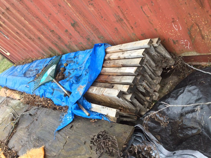 #4795-•-i-joyces-image-1