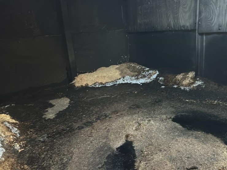 #143-•-sawdust-box*-image-5