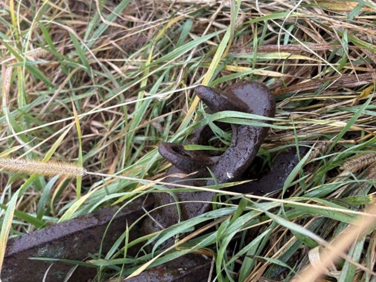 john-deere-tandem-disk,-13’,-scrapers-image-12