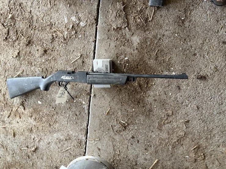 daisy-eagle-bb-gun-image-1