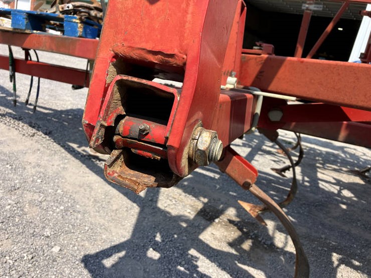 sunflower-5452-image-28