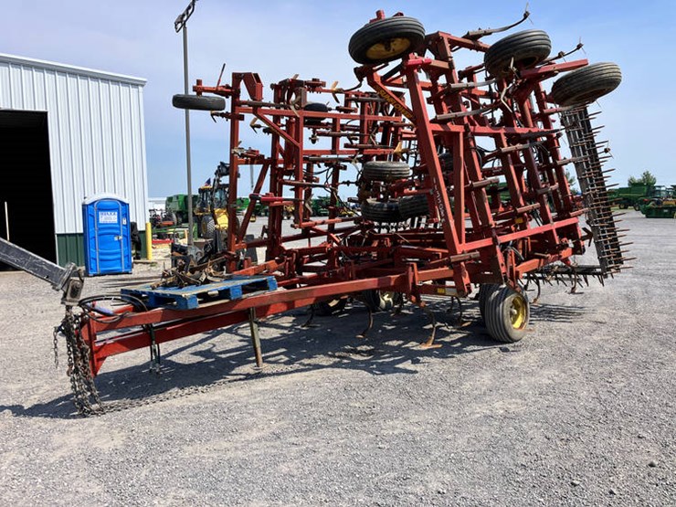 sunflower-5452-image-1