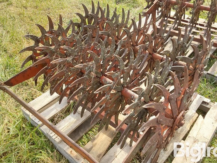 international-3-image-13