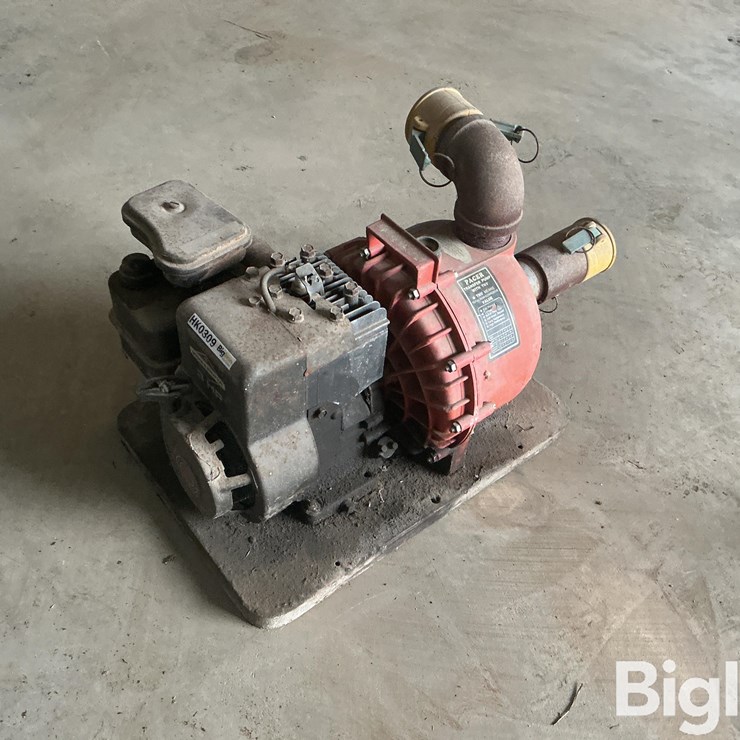 Pacer Portable Transfer Pump