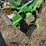 john-deere-z930m-image-13