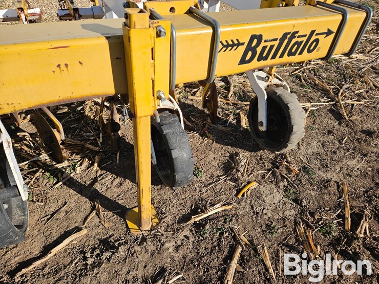 buffalo-6300-image-14