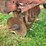 case-ih-470-image-16
