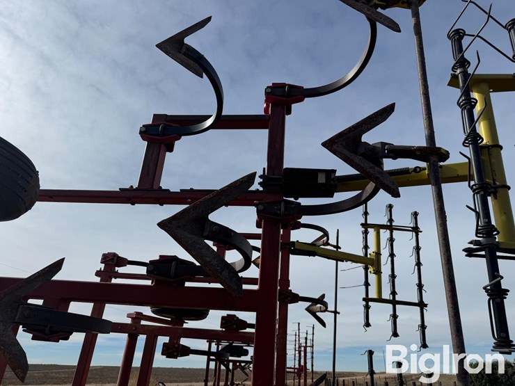 sunflower-2331-image-11