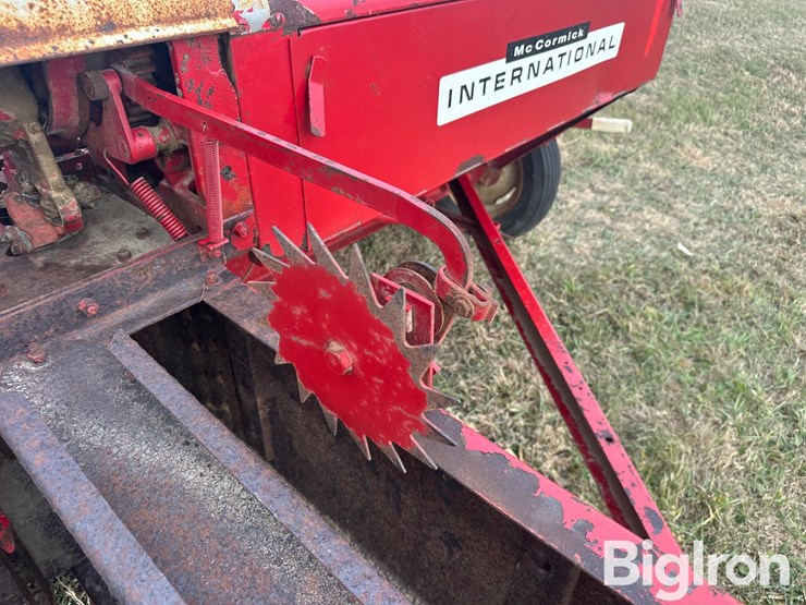 international-47-image-17