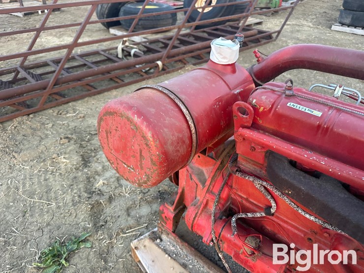 international-310-image-12