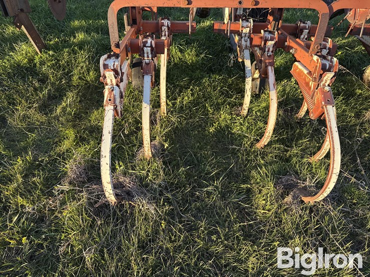 international-153-image-14