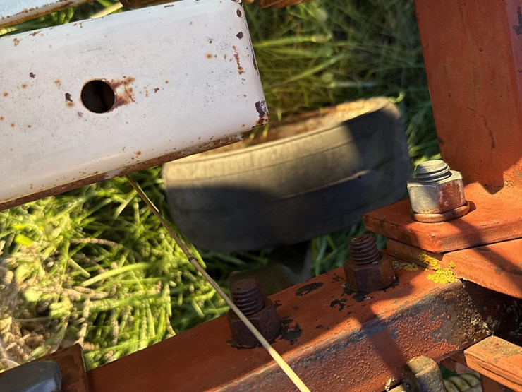 international-153-image-11