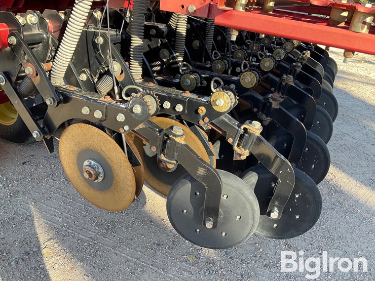 sunflower-9433-40-image-11