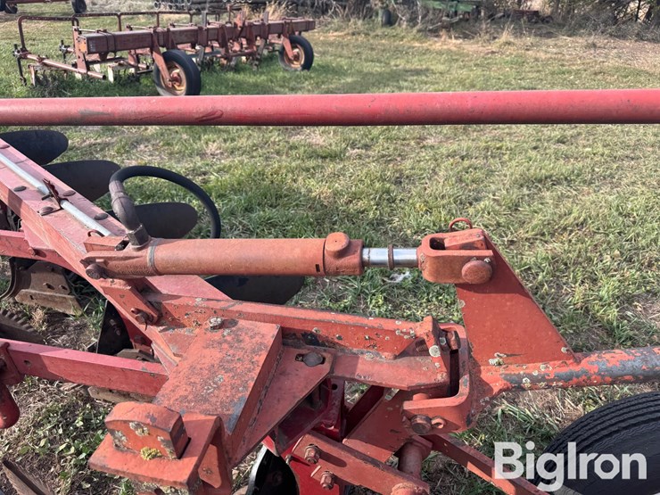 international-5-image-18