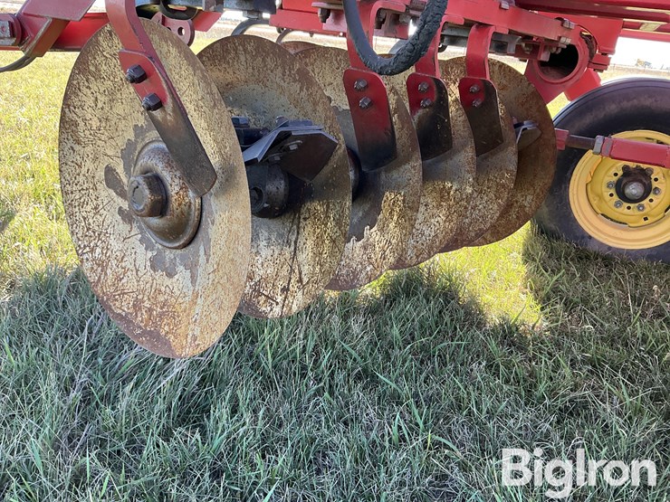 sunflower-1232-21-image-20