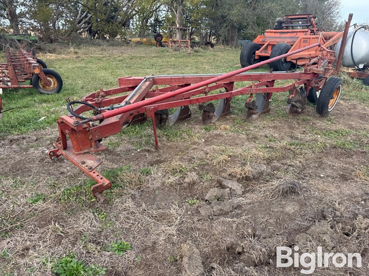 international-5-image-1