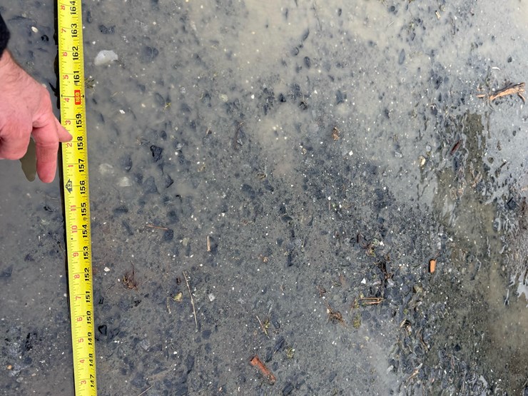 homemade-ta-image-17