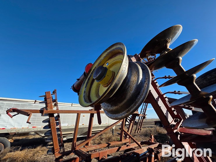 sunflower-80ta-image-10