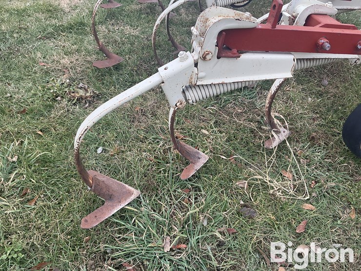 international-153-image-19