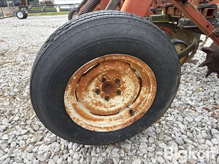 international-183-image-20