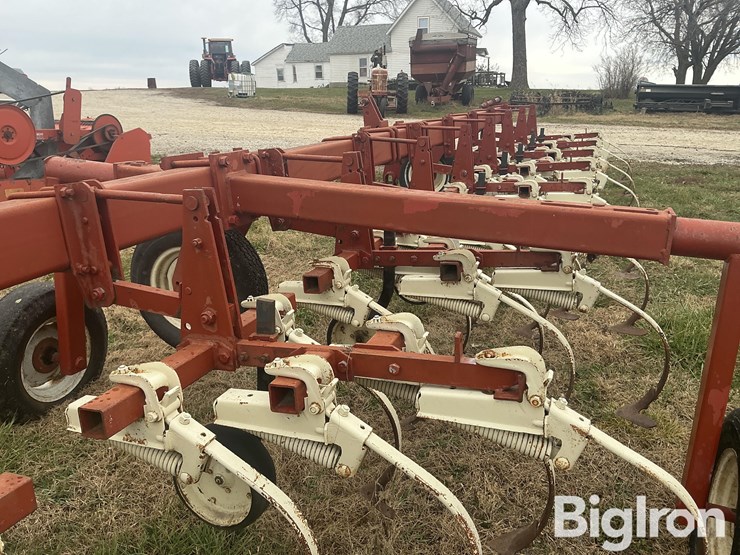 international-153-image-17