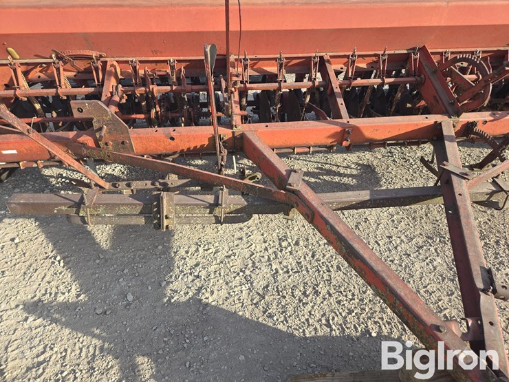 international-10-image-10