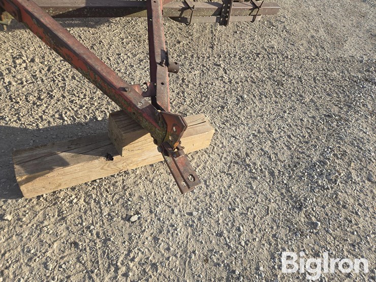 international-10-image-9