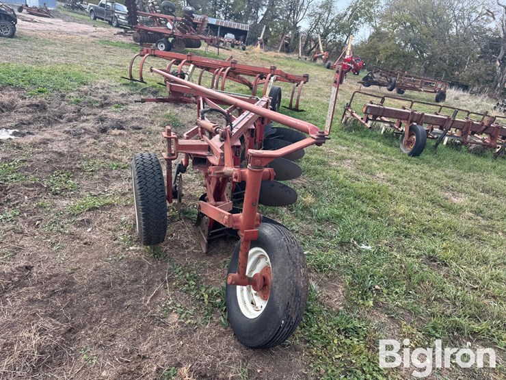 international-5-image-6