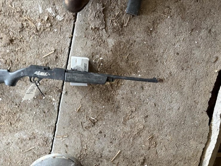 daisy-eagle-bb-gun-image-3