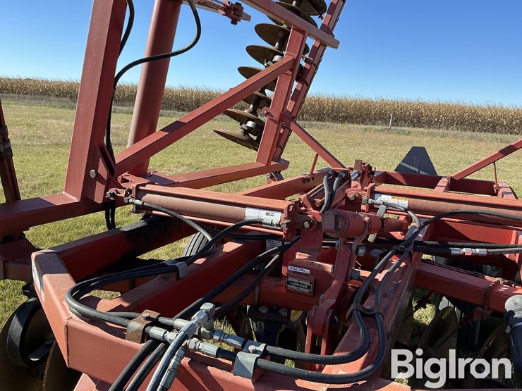 sunflower-1232-21-image-17