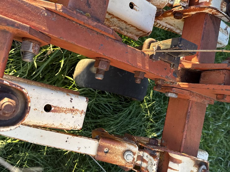 international-153-image-9