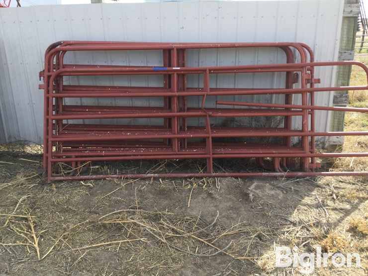 metal-livestock-panels-image-6