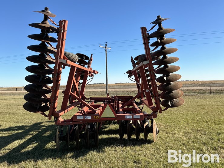 sunflower-1232-21-image-6