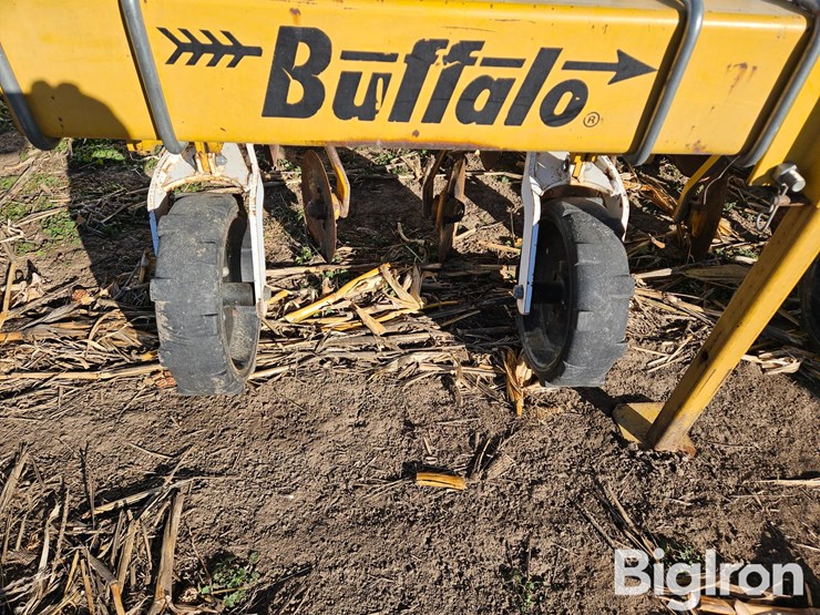 buffalo-6300-image-10
