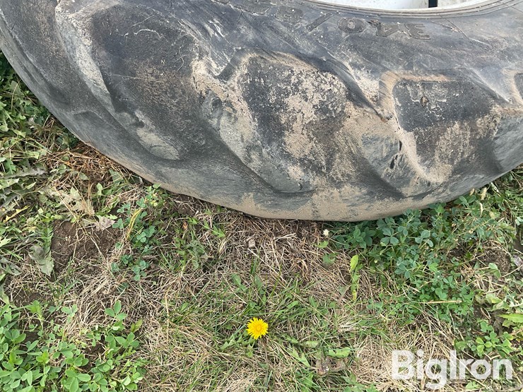 international-8-image-19