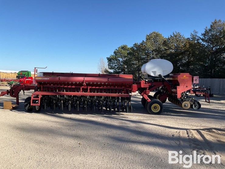 sunflower-9433-40-image-2