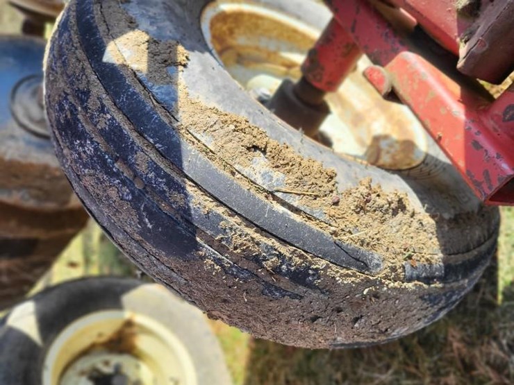 sunflower-1433-28-image-38