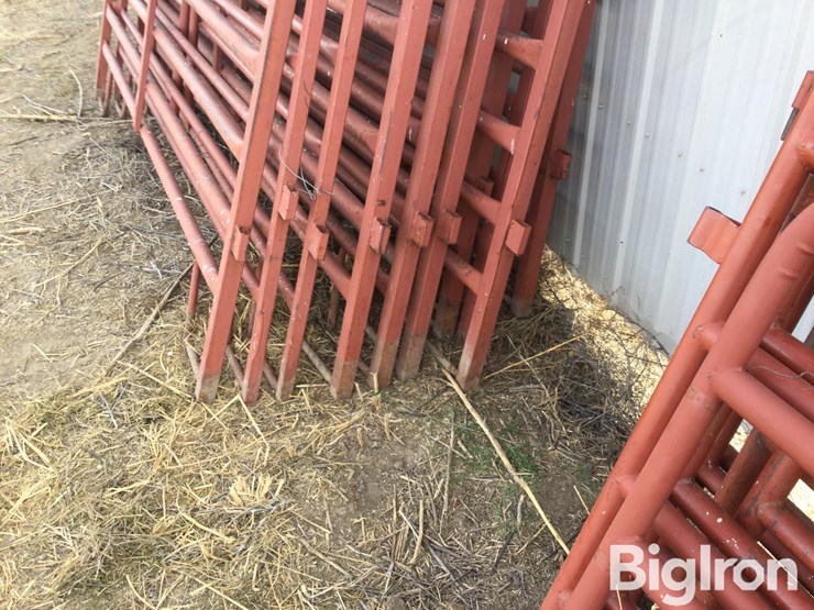 metal-livestock-panels-image-2