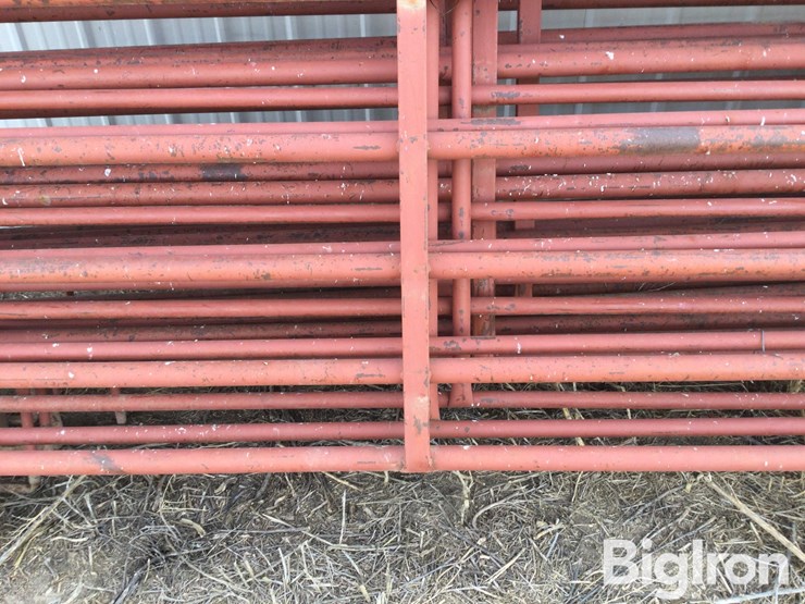 metal-livestock-panels-image-15