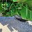 john-deere-4450-image-43